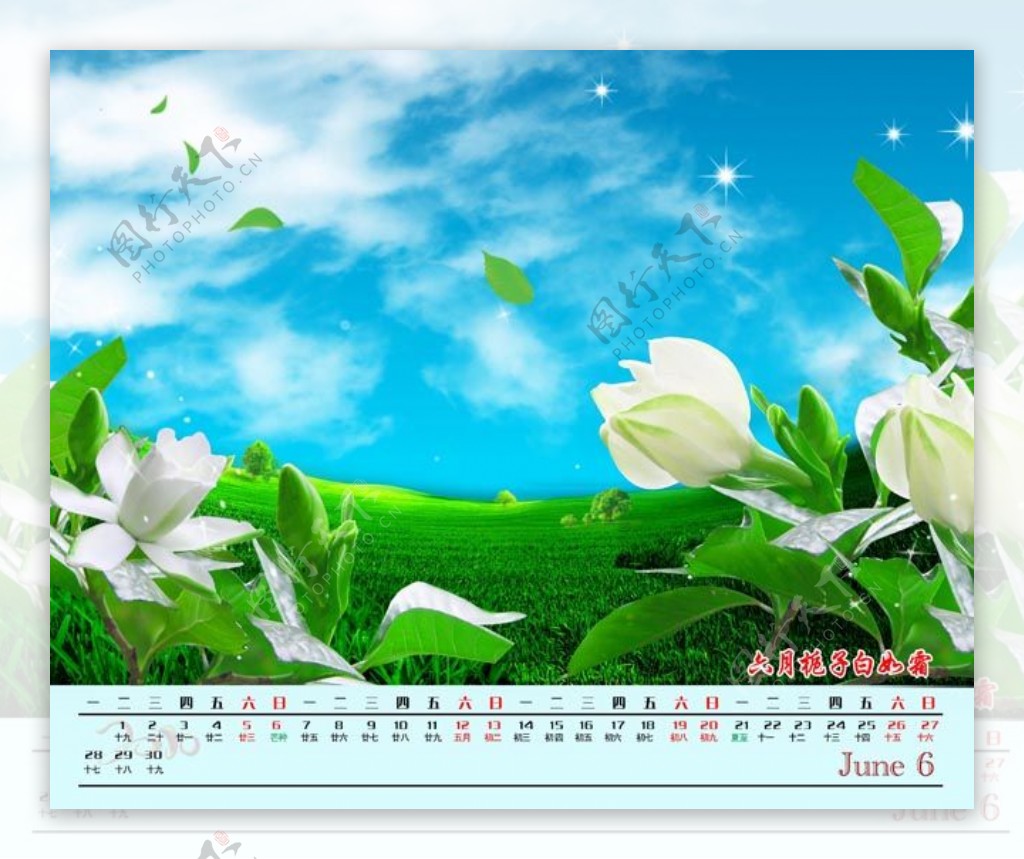 花主题2010年台历模板6月版