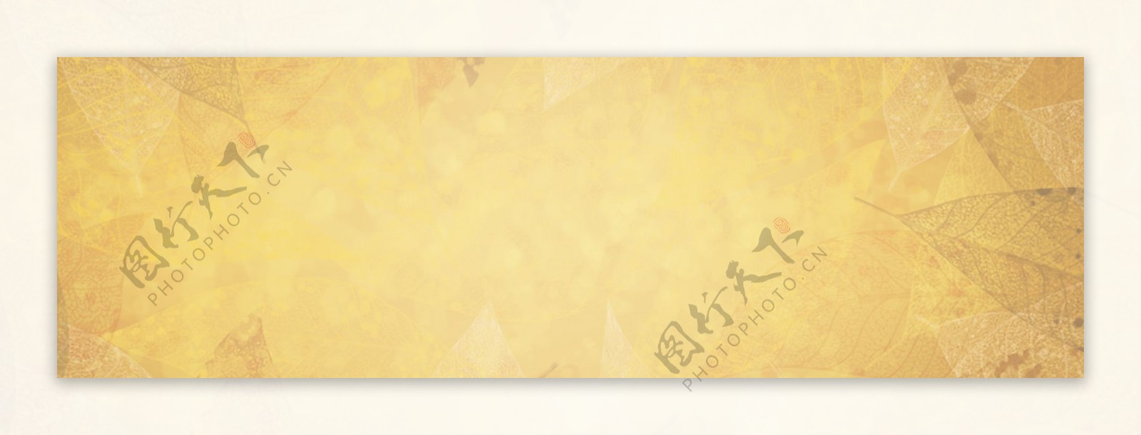 秋季秋装金色背景banner