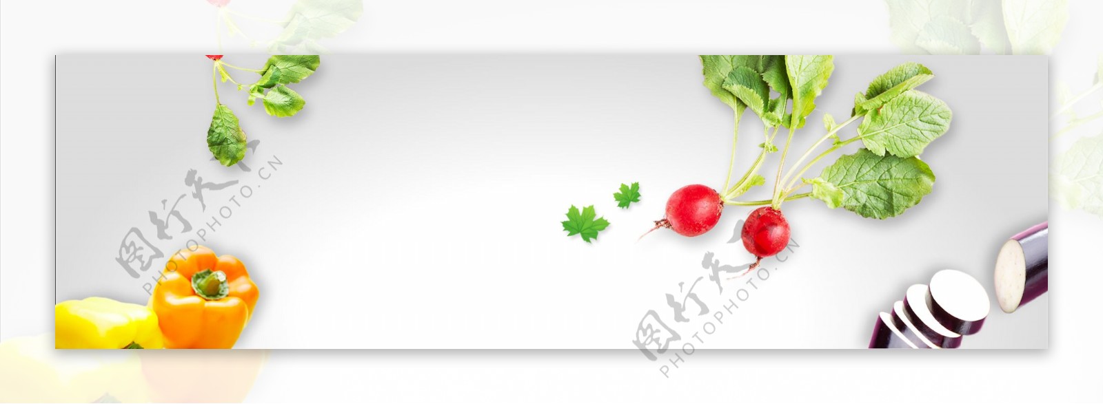 蔬菜网站背景banner
