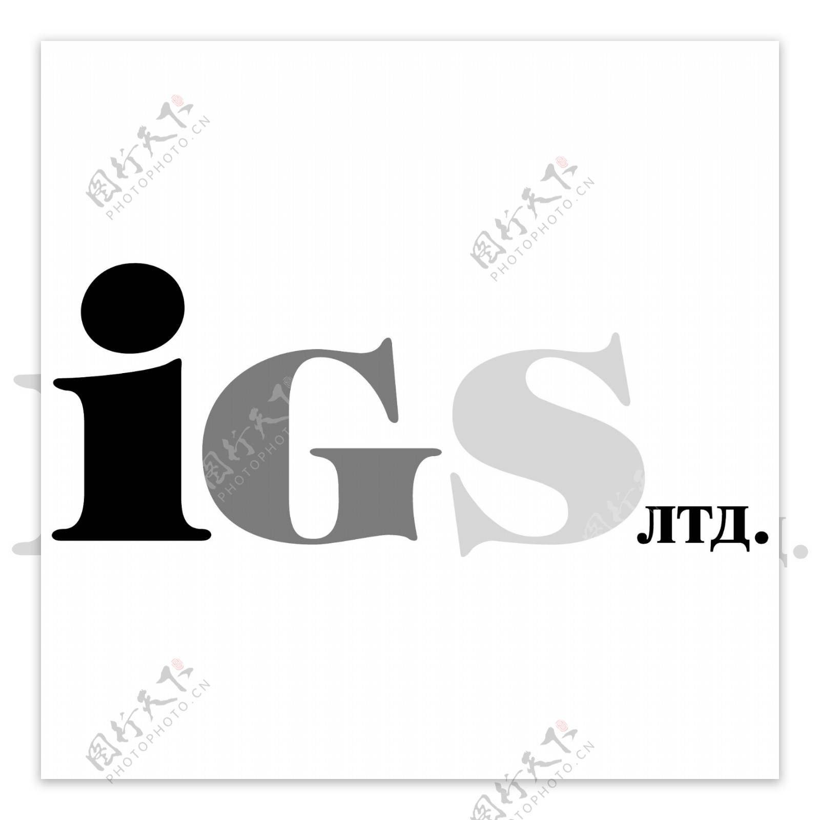 IGS公司