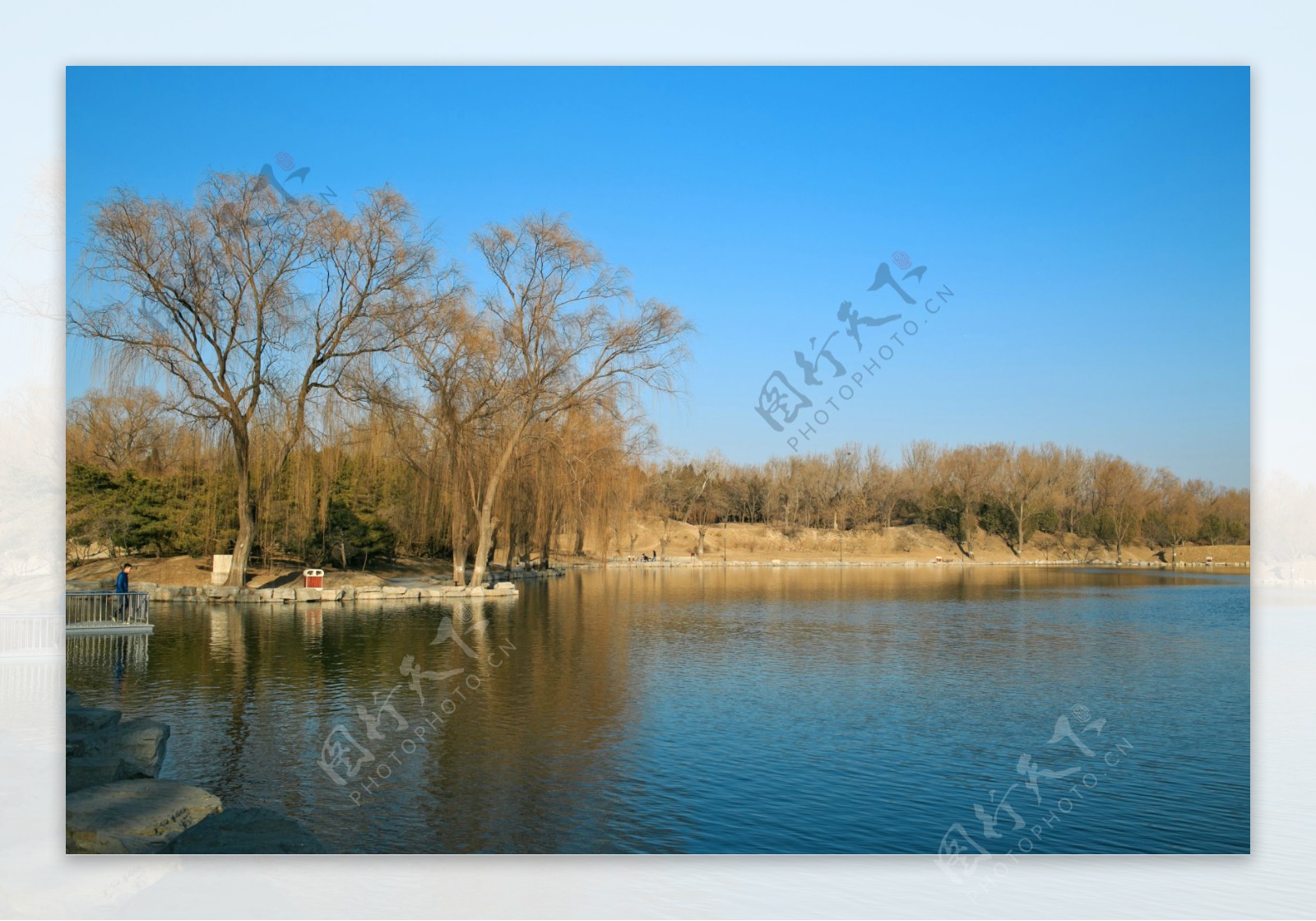冬日北京圆明园湖面图片