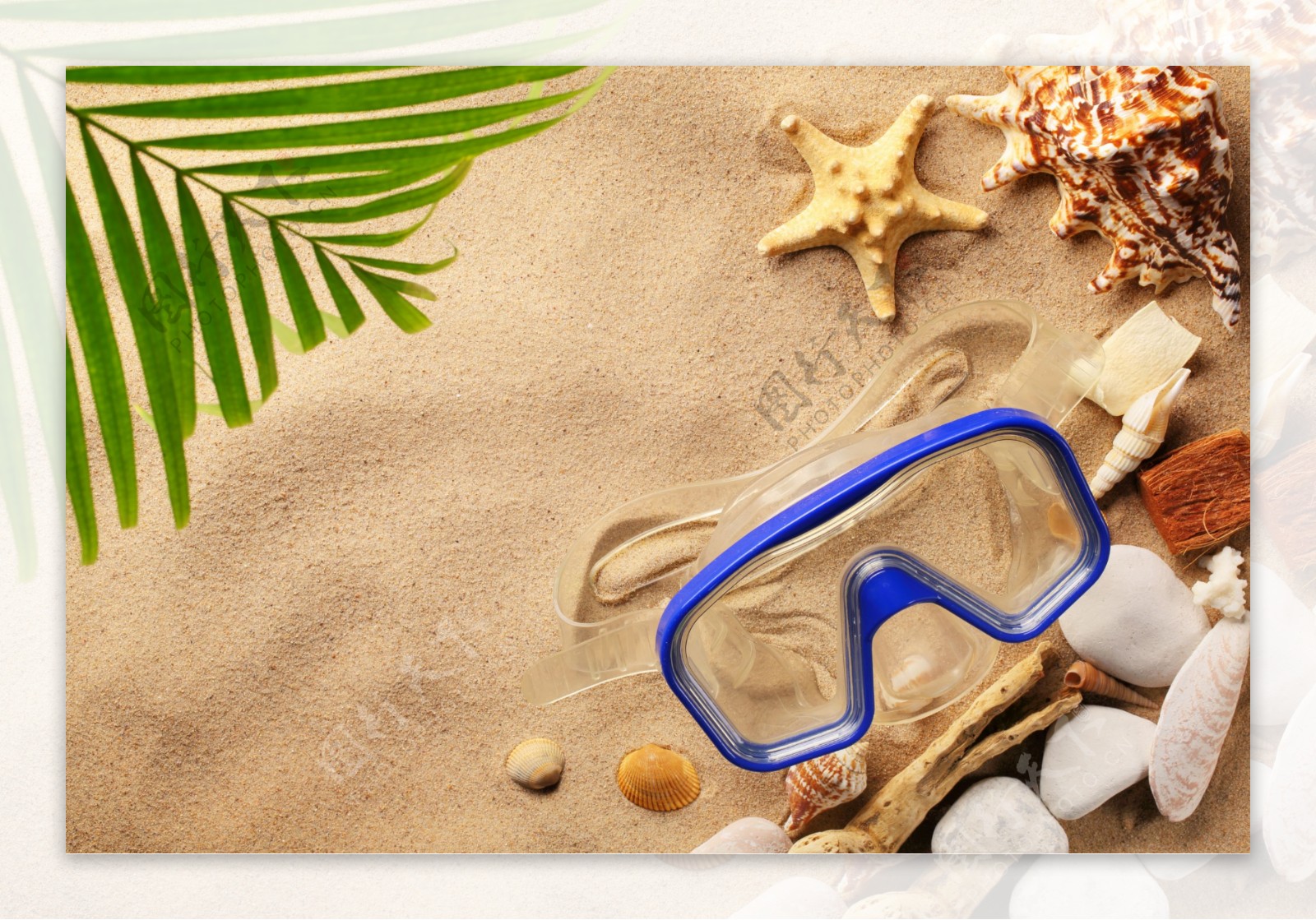 沙滩上的贝壳与潜水眼镜