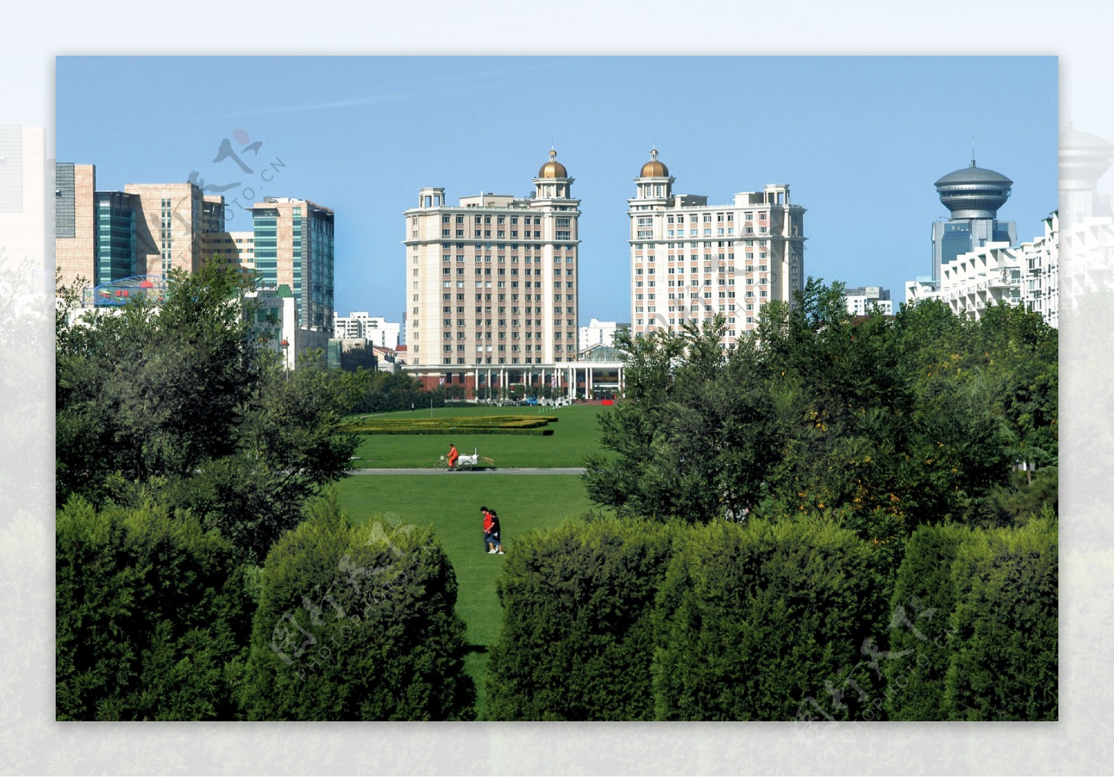 天津开发区千米绿化带一景图片
