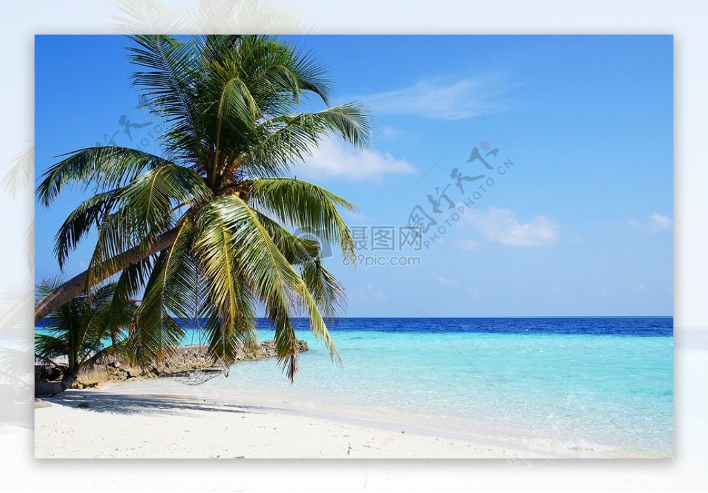 碧海蓝天和沙滩上的棕榈树