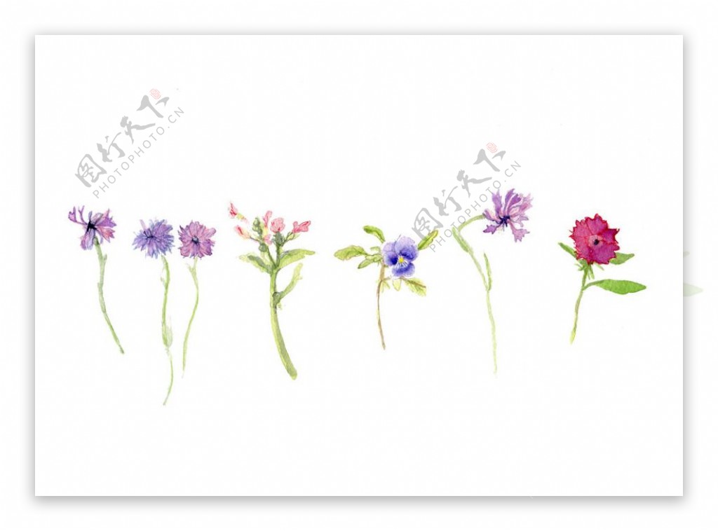 位图植物写意花卉花朵免费素材