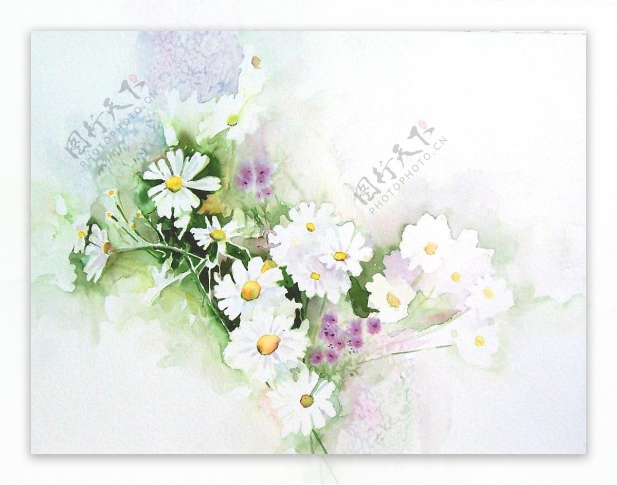 位图植物写意花卉花朵雏菊免费素材