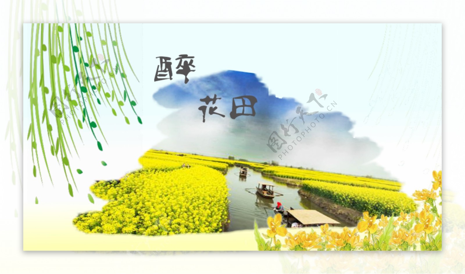 油菜花banner