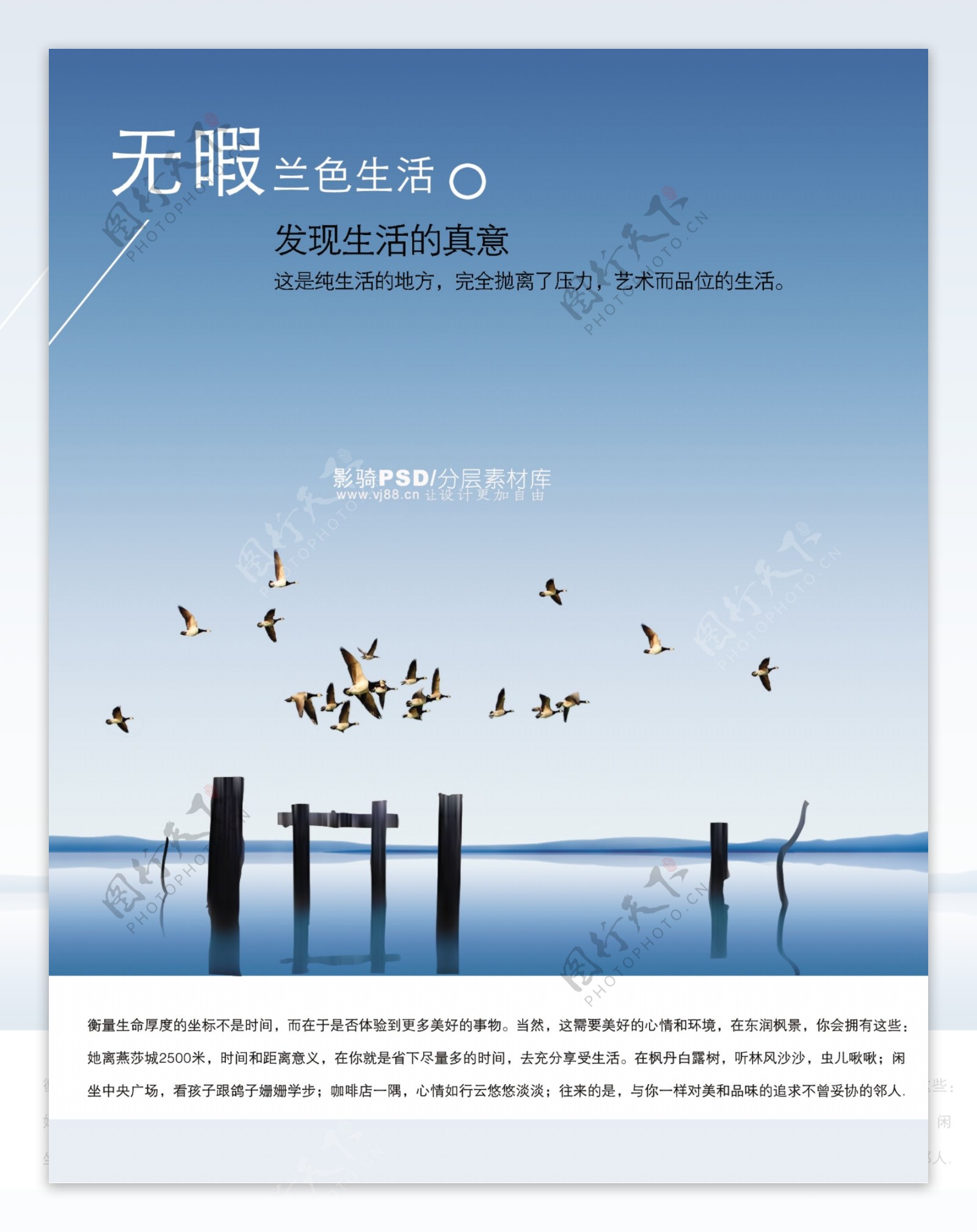 psd源文件风景自然景观蓝天白云海鸥海鸟