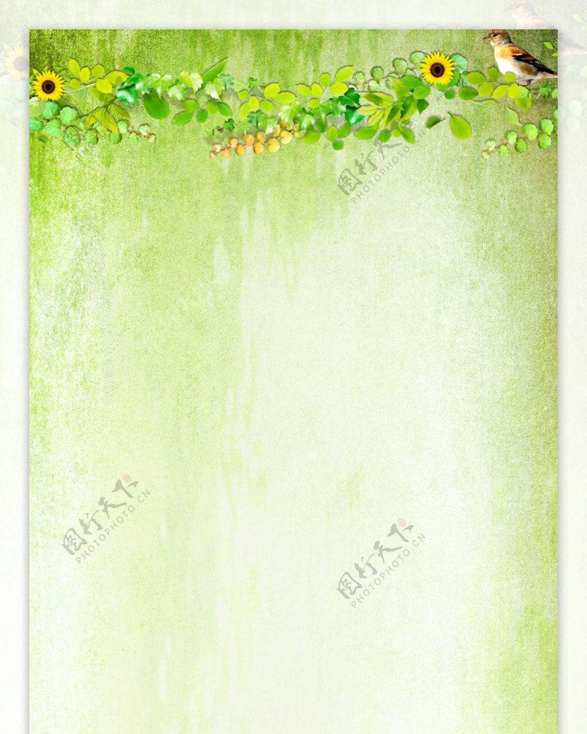 简约绿色花朵展板背景