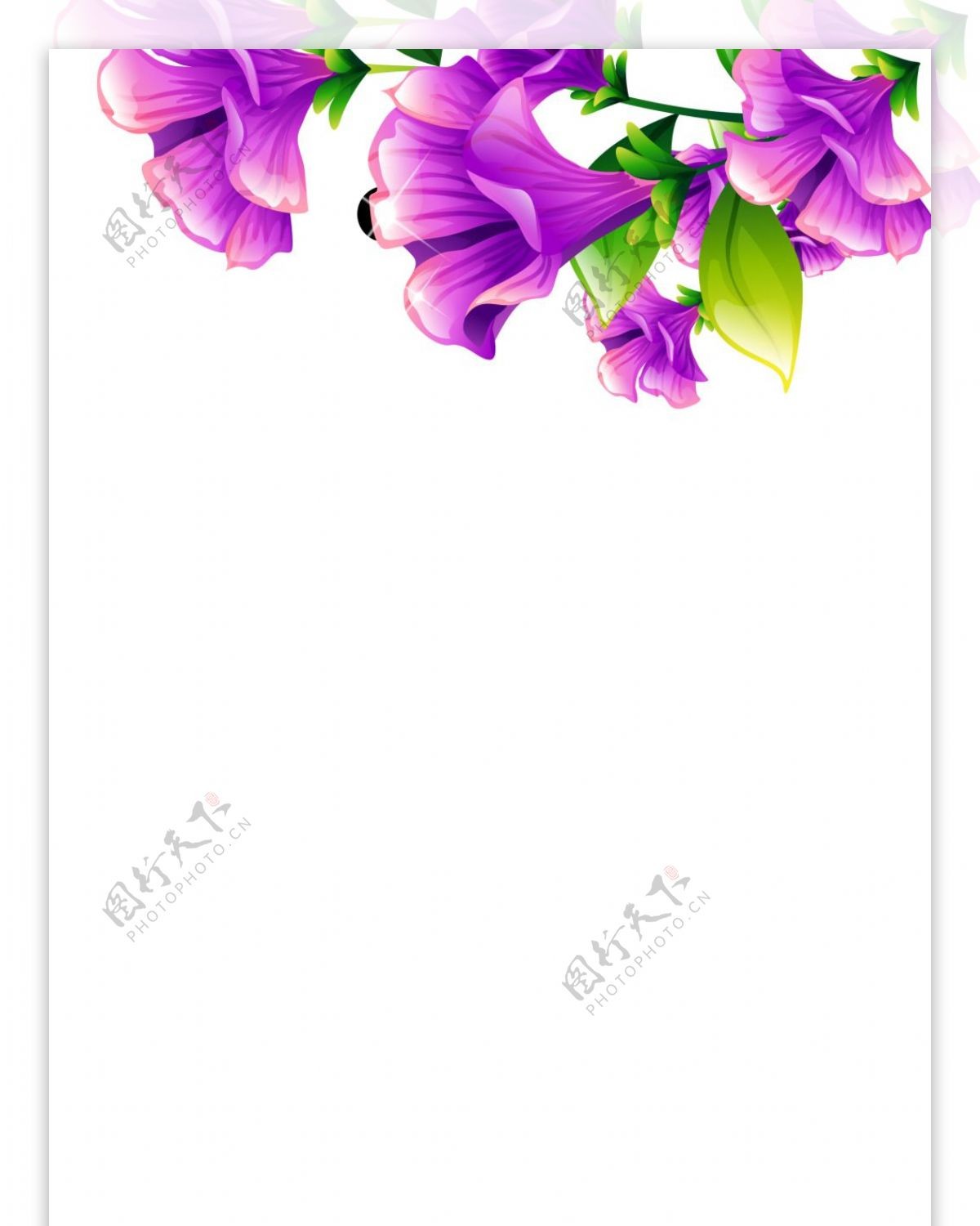 精美紫色花儿展板背景