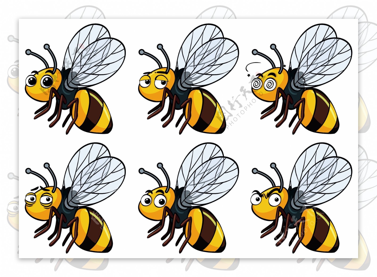 表情不同的蜜蜂