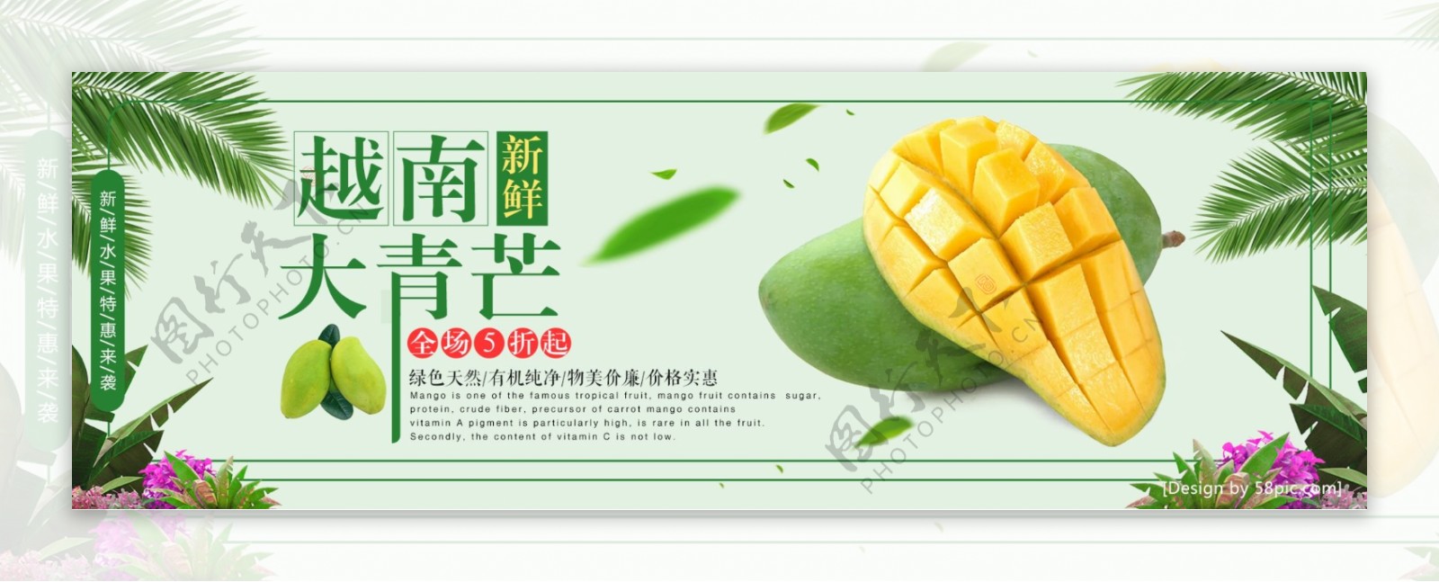 淡绿色小清新越南大青芒水果电商海报