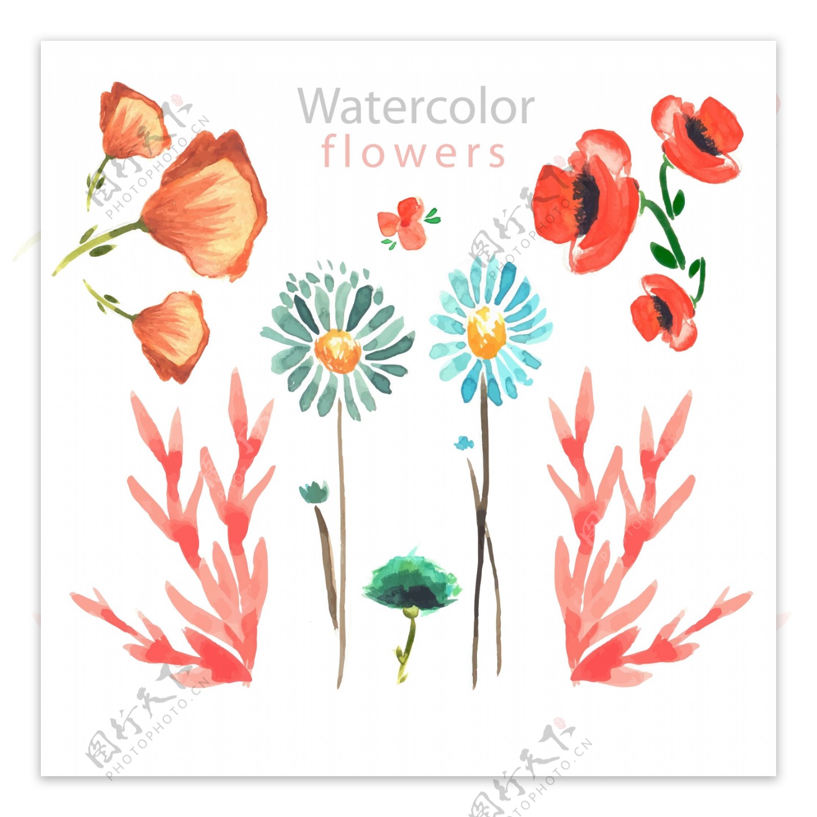 7款水彩绘花卉设计矢量素材