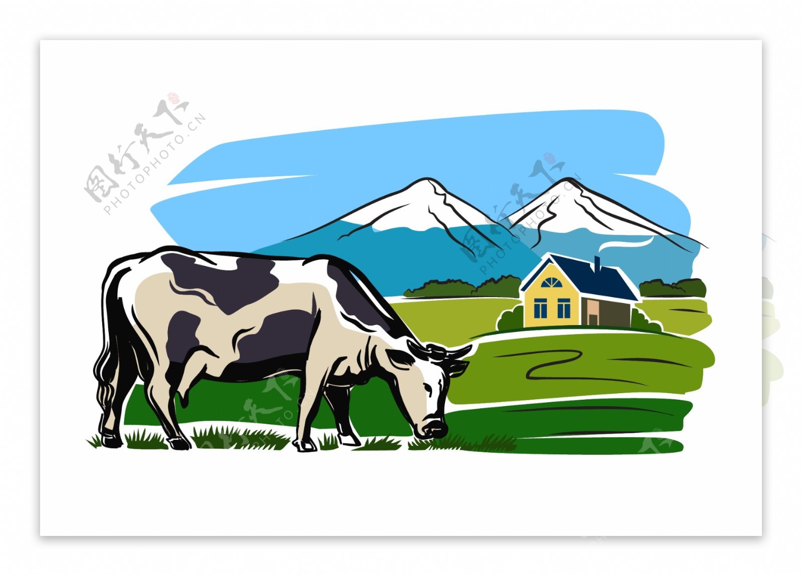 牧场里的奶牛插画