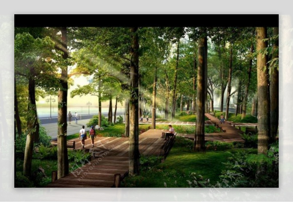 小区园林绿化设计图片