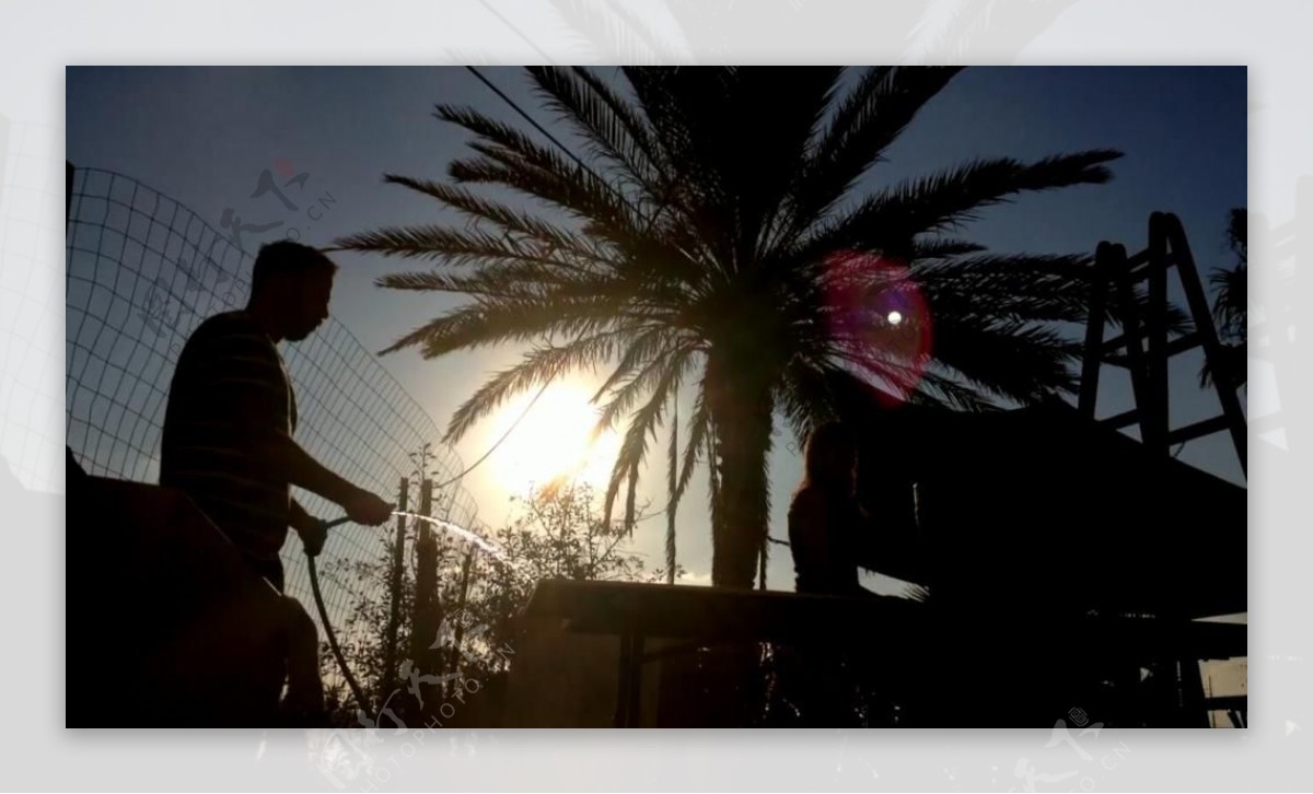 实拍夕阳下浇水的人视频素材