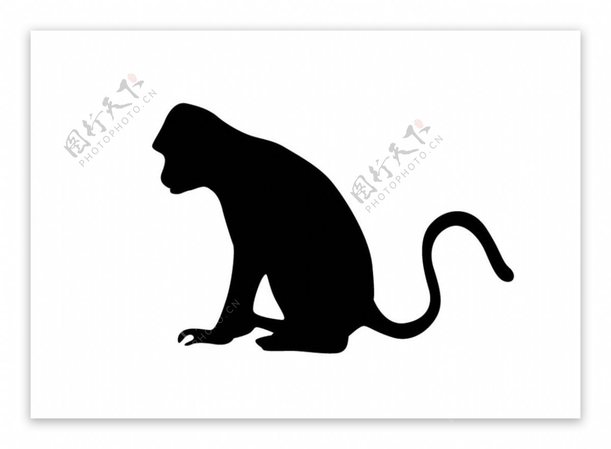猴子设计图__野生动物_生物世界_设计图库_昵图网nipic.com