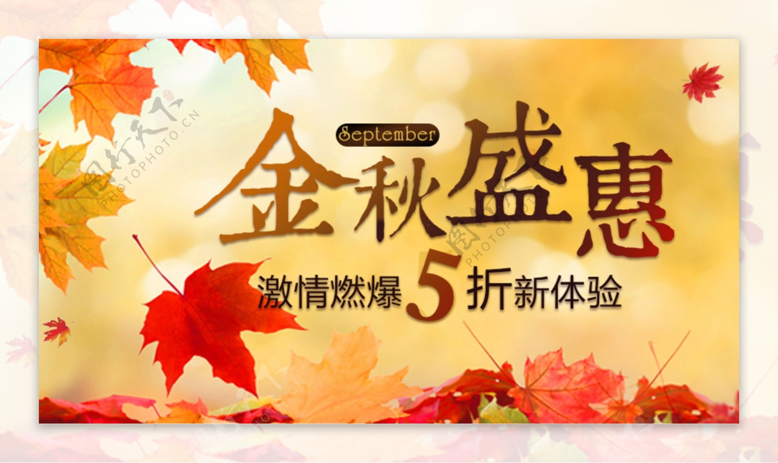 金秋宣传网页banner