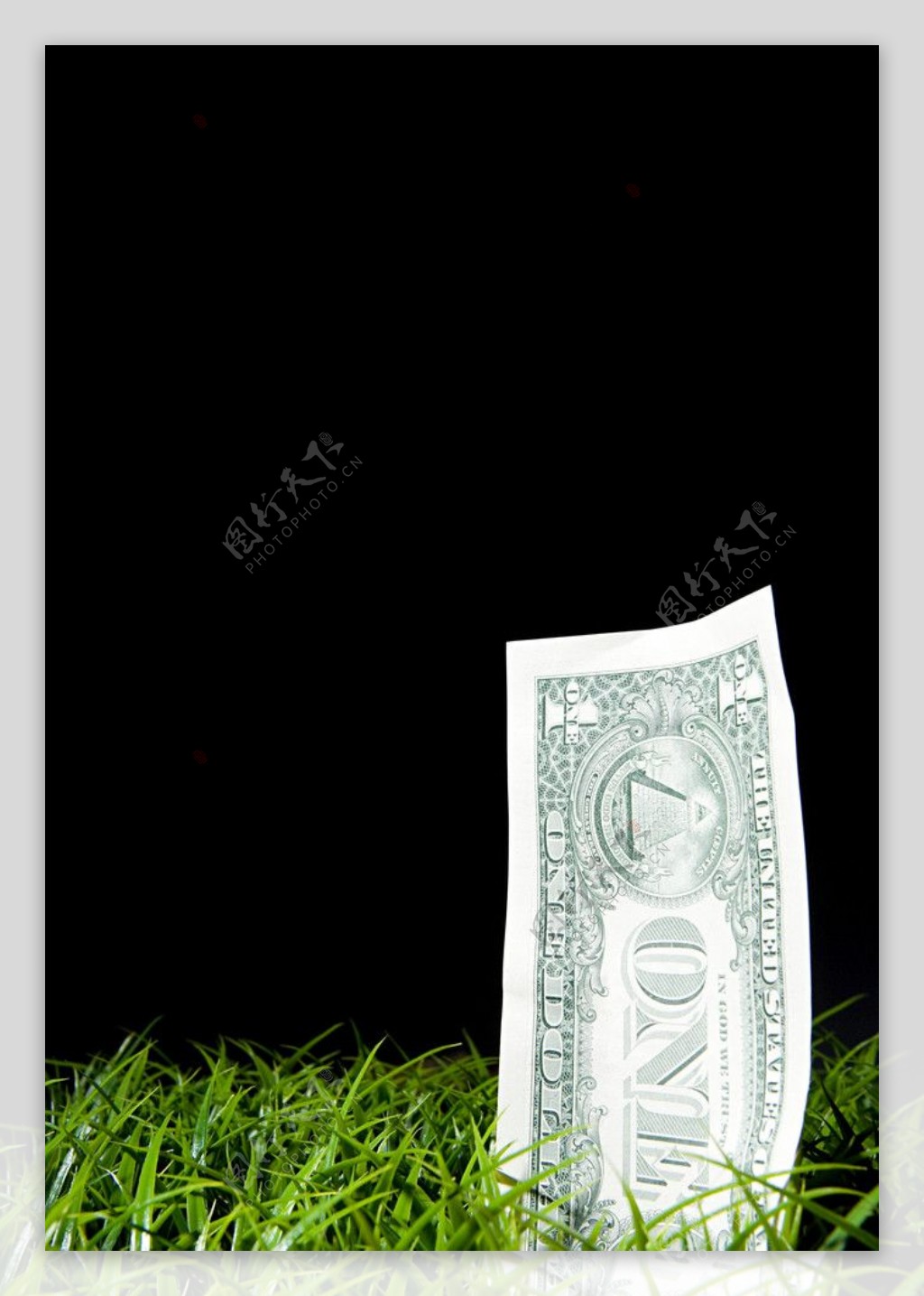 草地上的美元