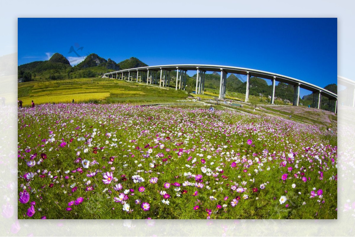 高速公路进瑶乡