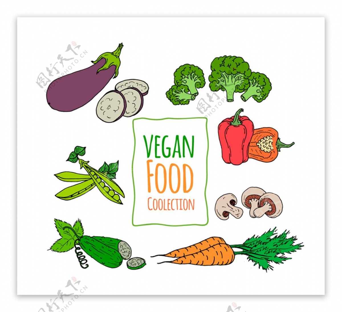 7款彩绘素食蔬菜矢量素材