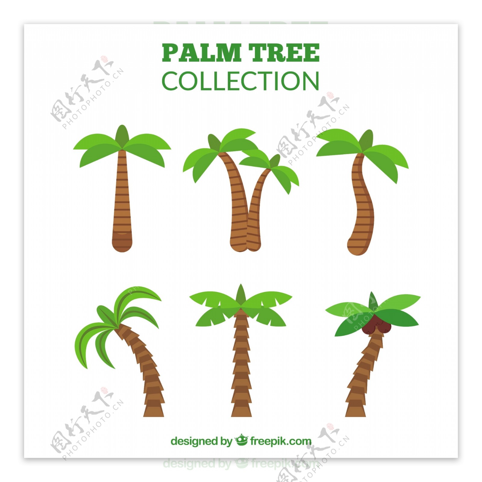 平面设计中的棕榈树