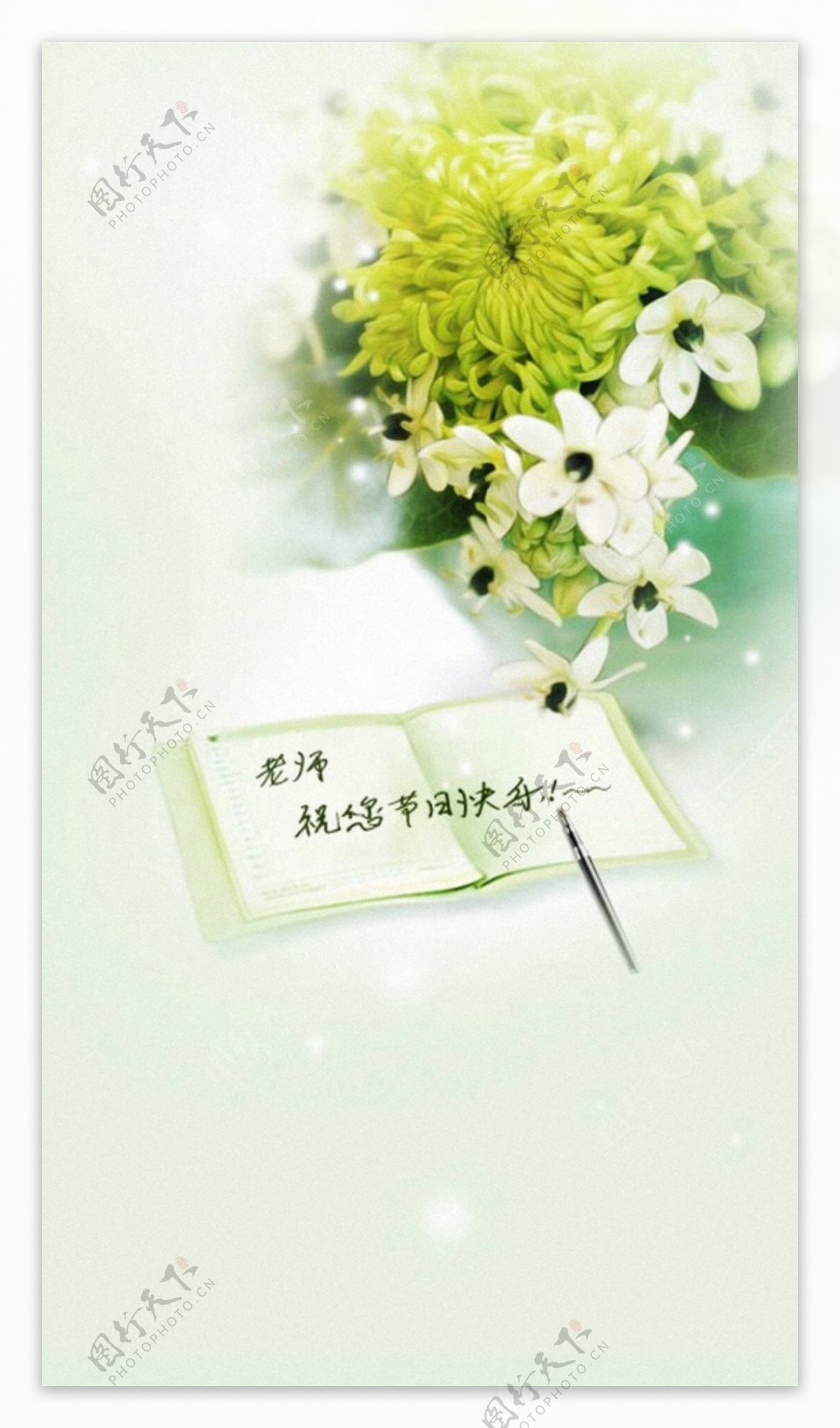清新白色花朵教师节H5背景素材