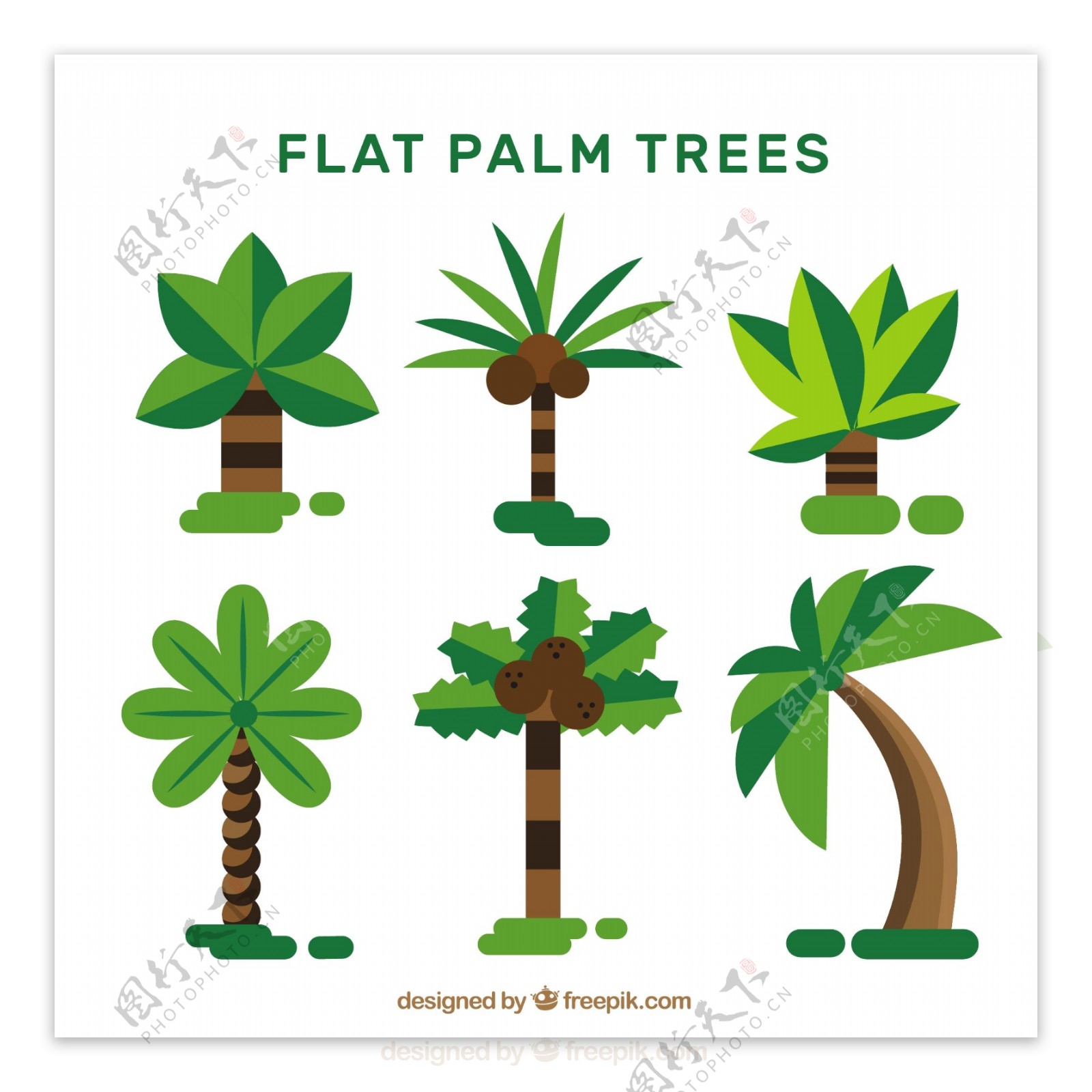 平面设计中的棕榈树