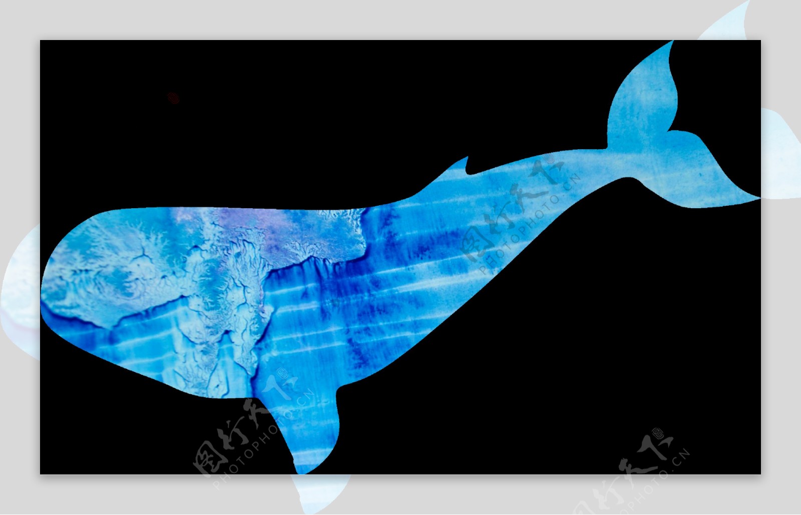 水彩卡通鲸鱼png透明素材