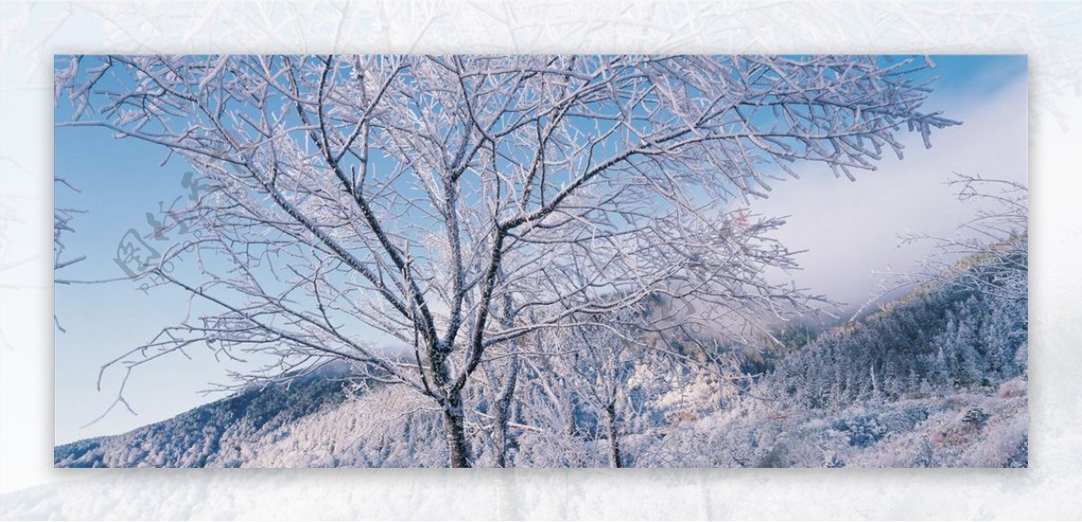 冬天雪景