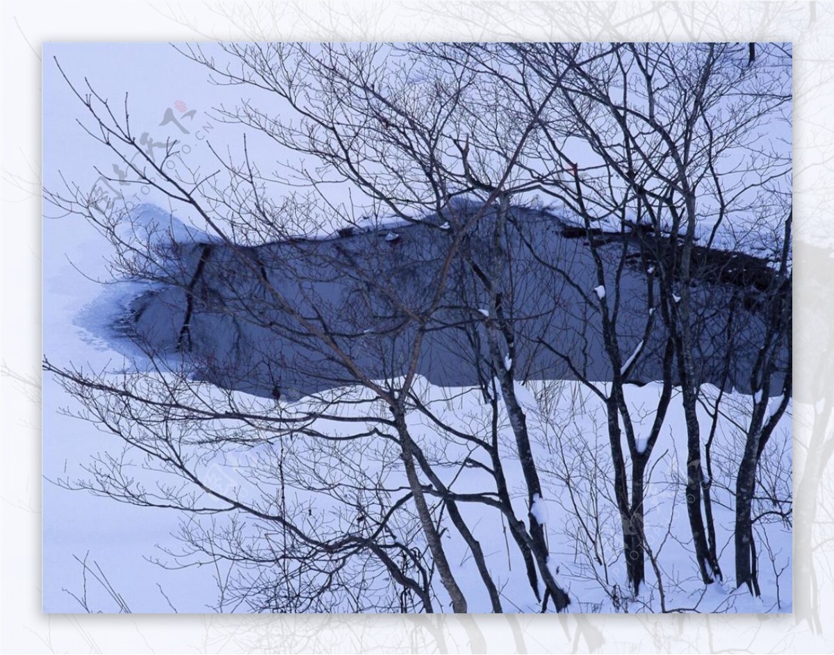 冬天雪景