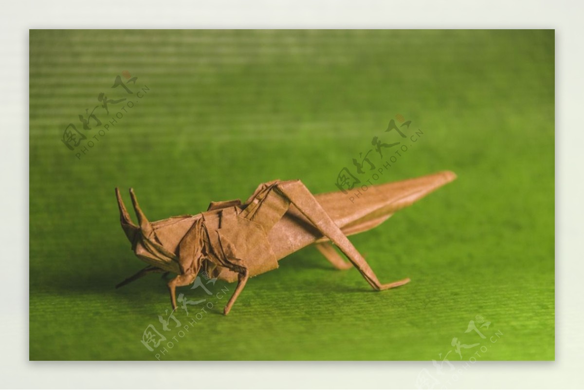 蟋蟀折纸