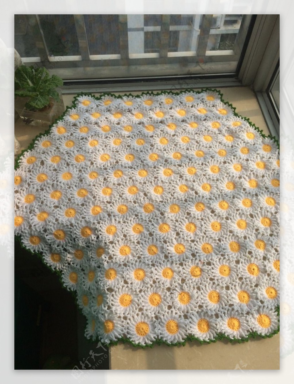 小雏菊毛线毯子