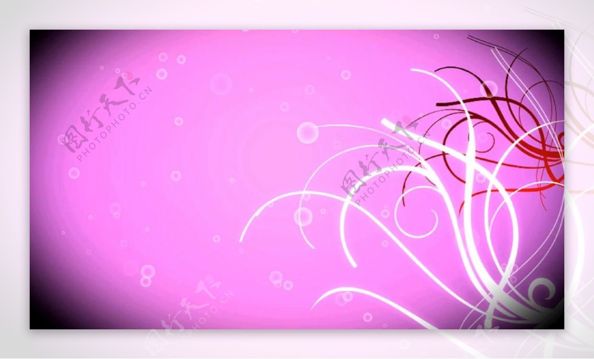 粉色花藤生长背景视频素材