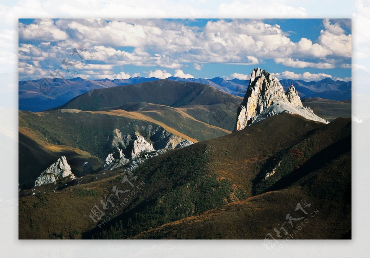 新龙山丘山