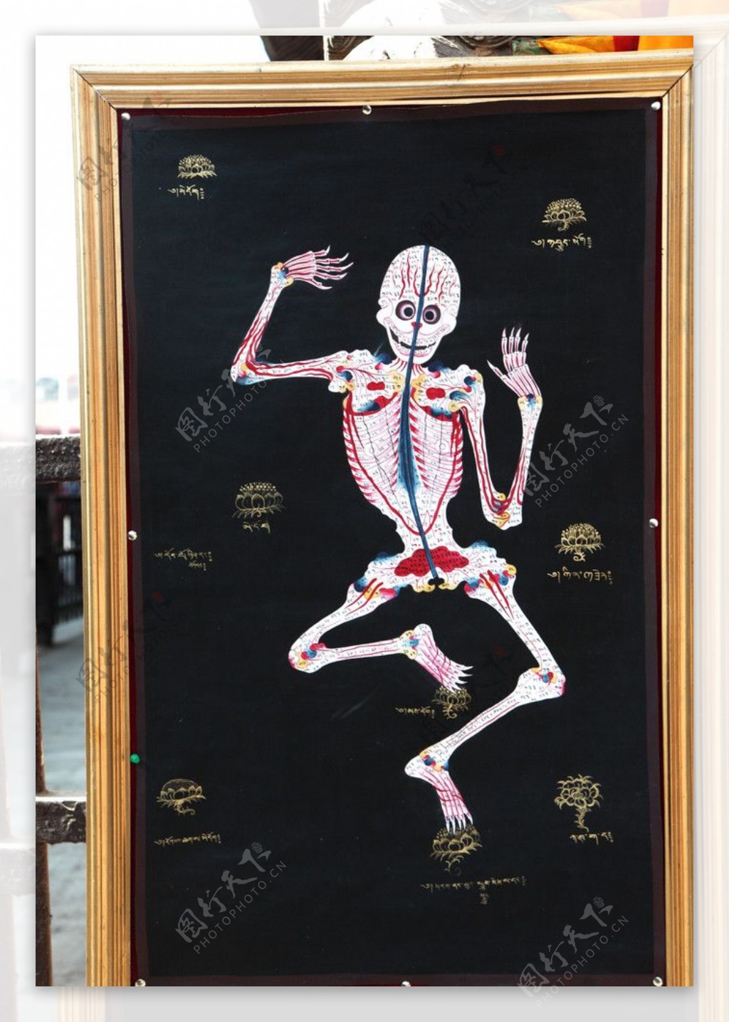 尼泊尔人体骨架骷髅画