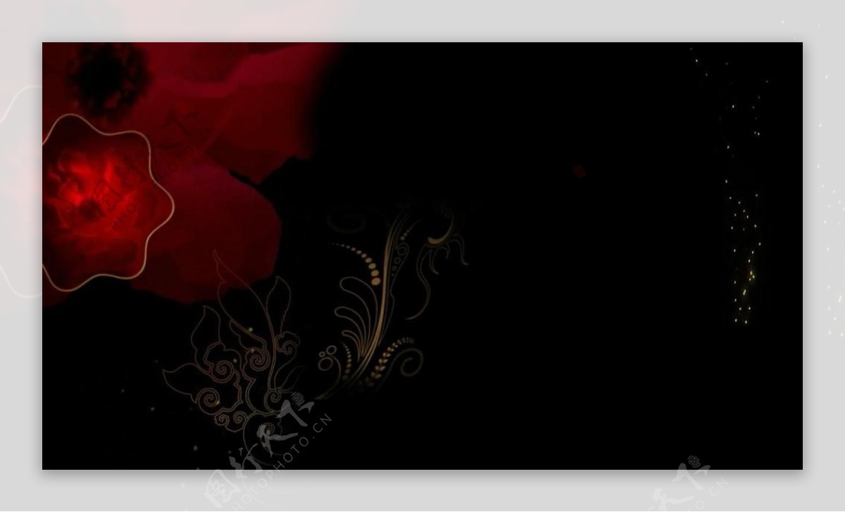 红色花朵背景动态视频素材