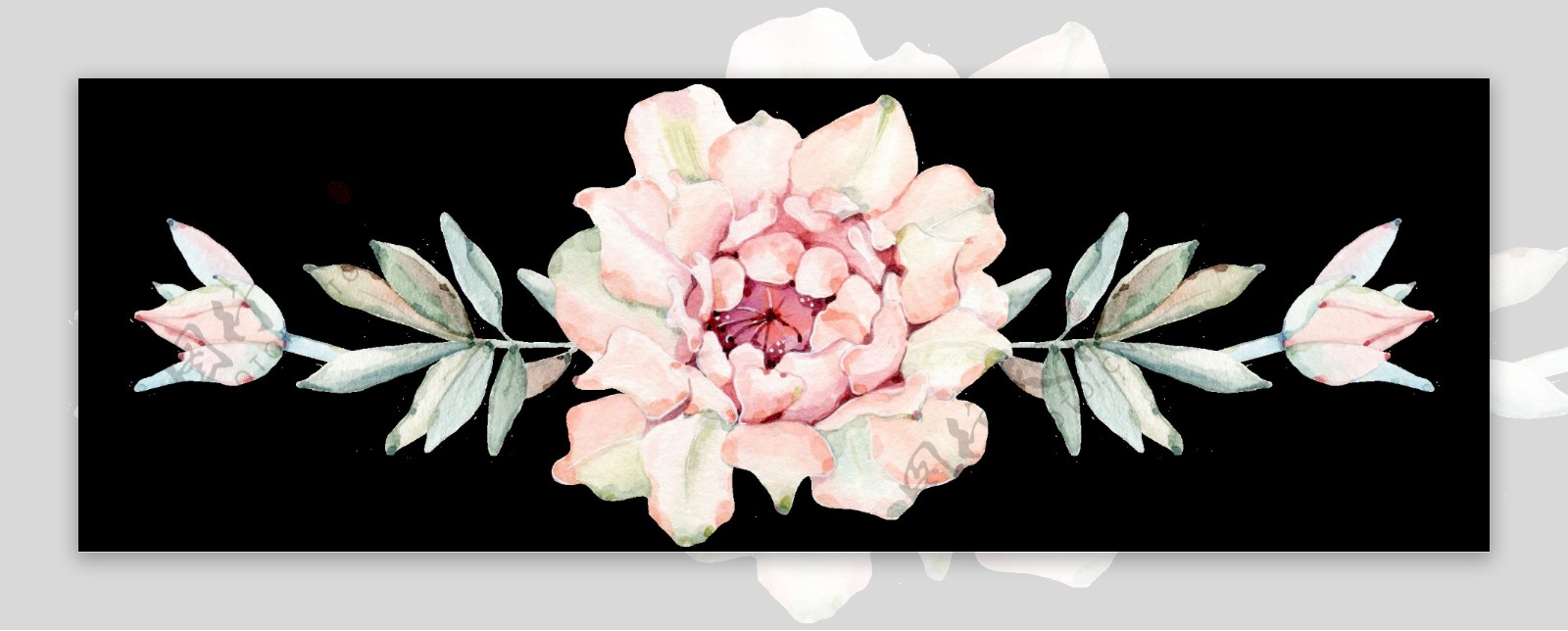 清新素雅花卉透明装饰图案
