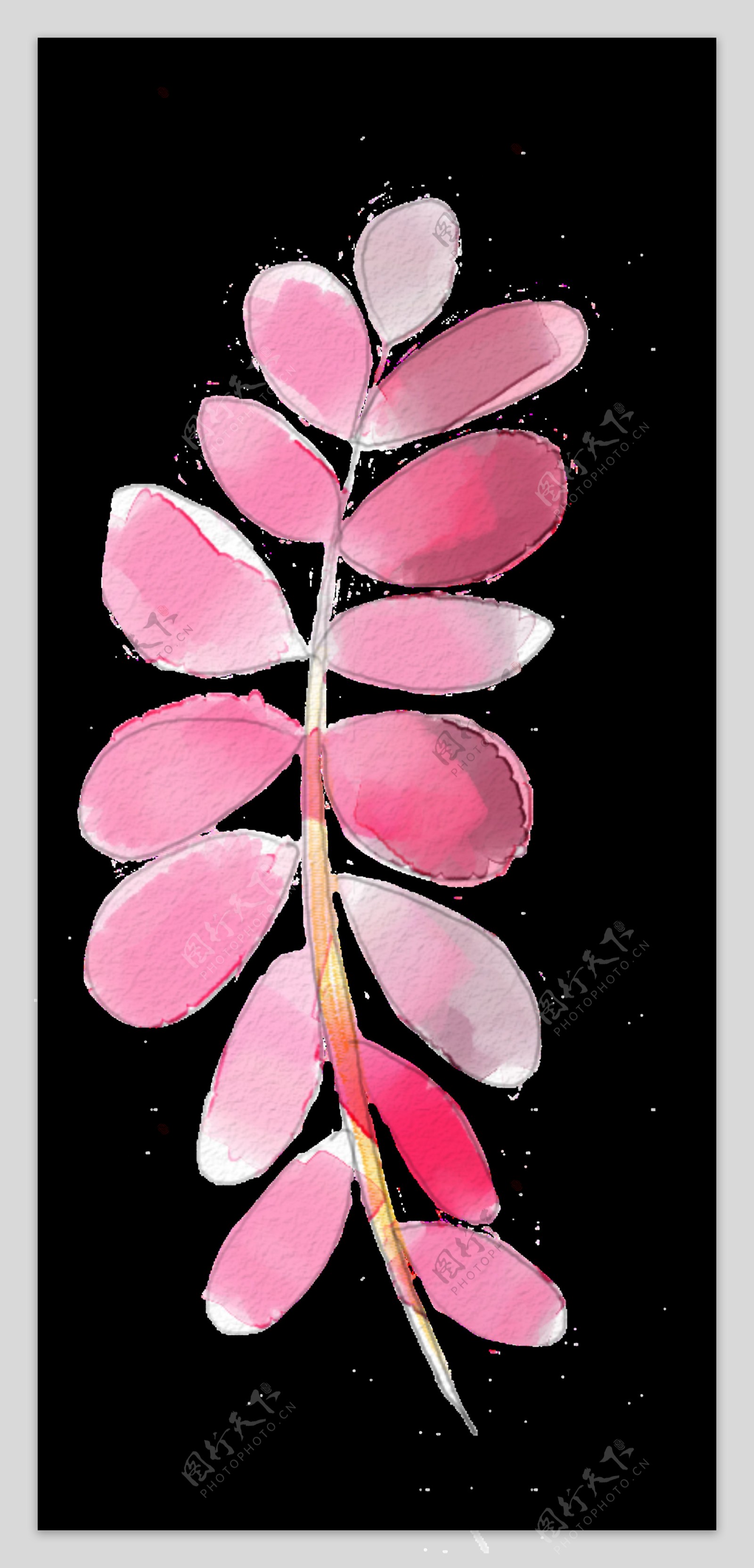 粉色树枝透明装饰图案