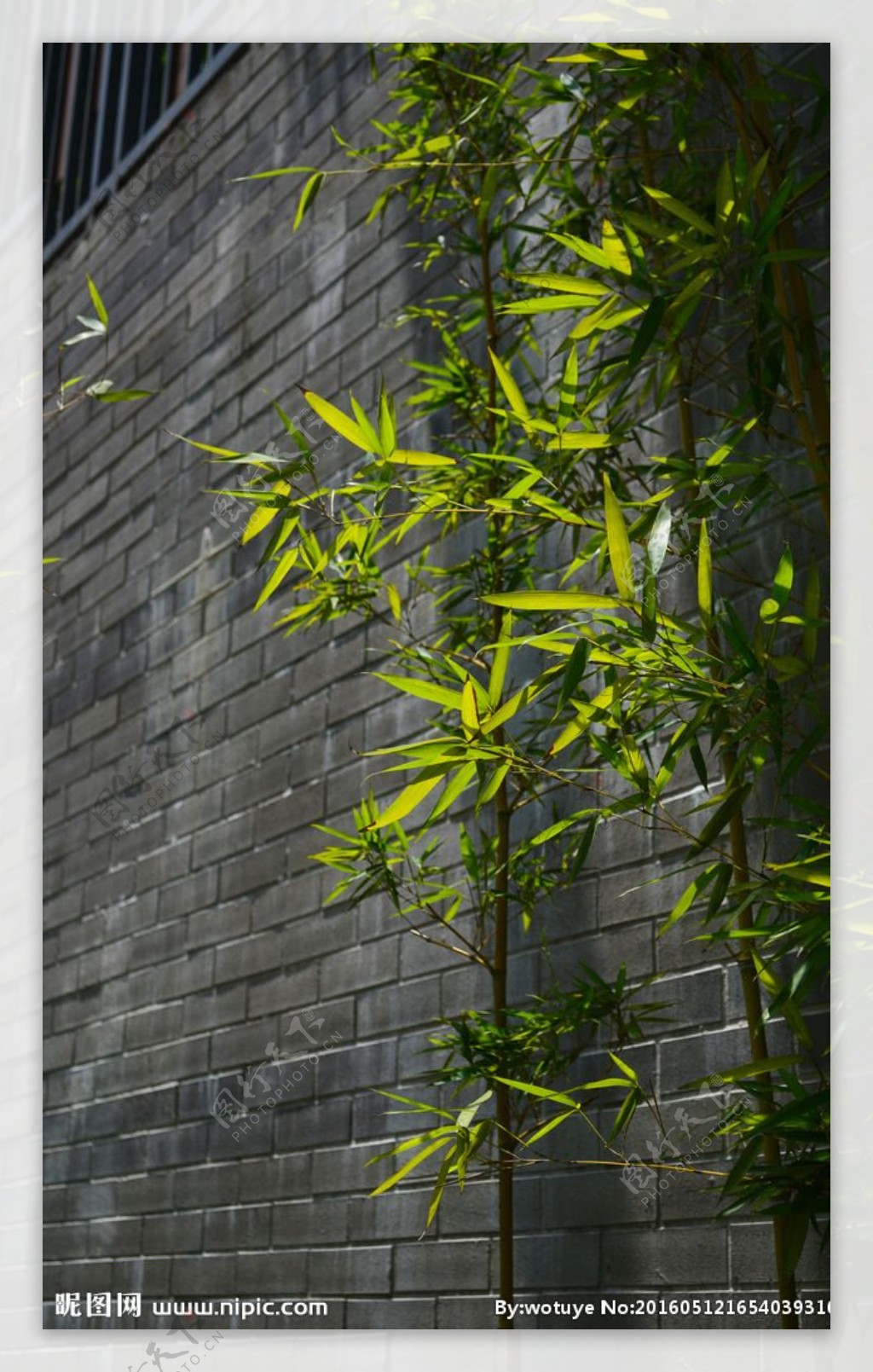 砖墙与竹子