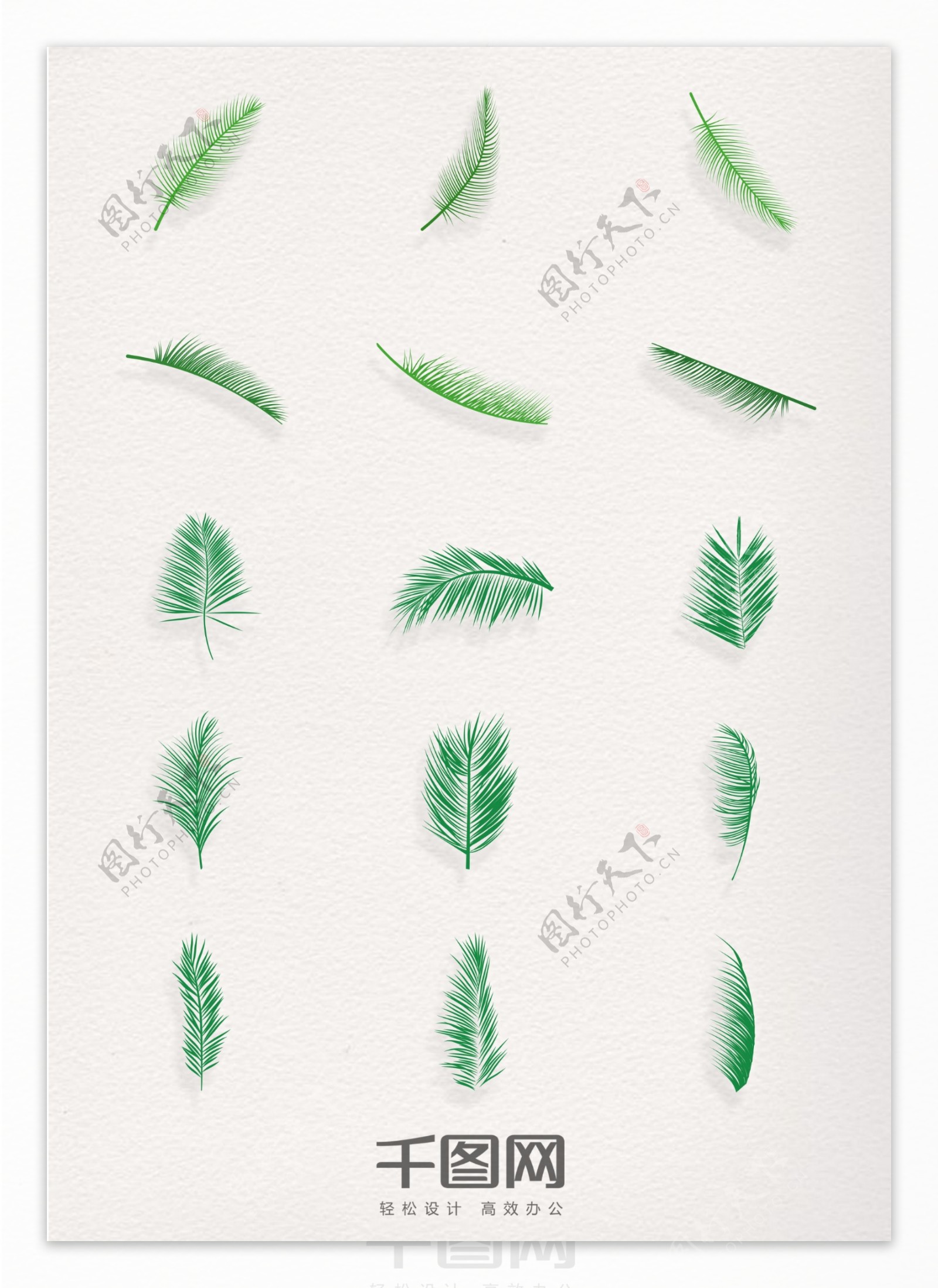 绿色棕榈树叶图标元素