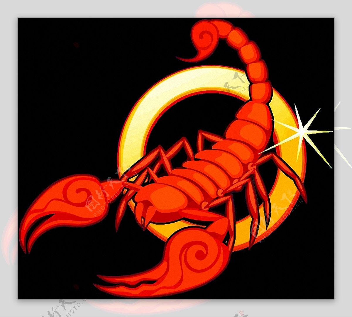 红色蝎子图片免抠png透明素材
