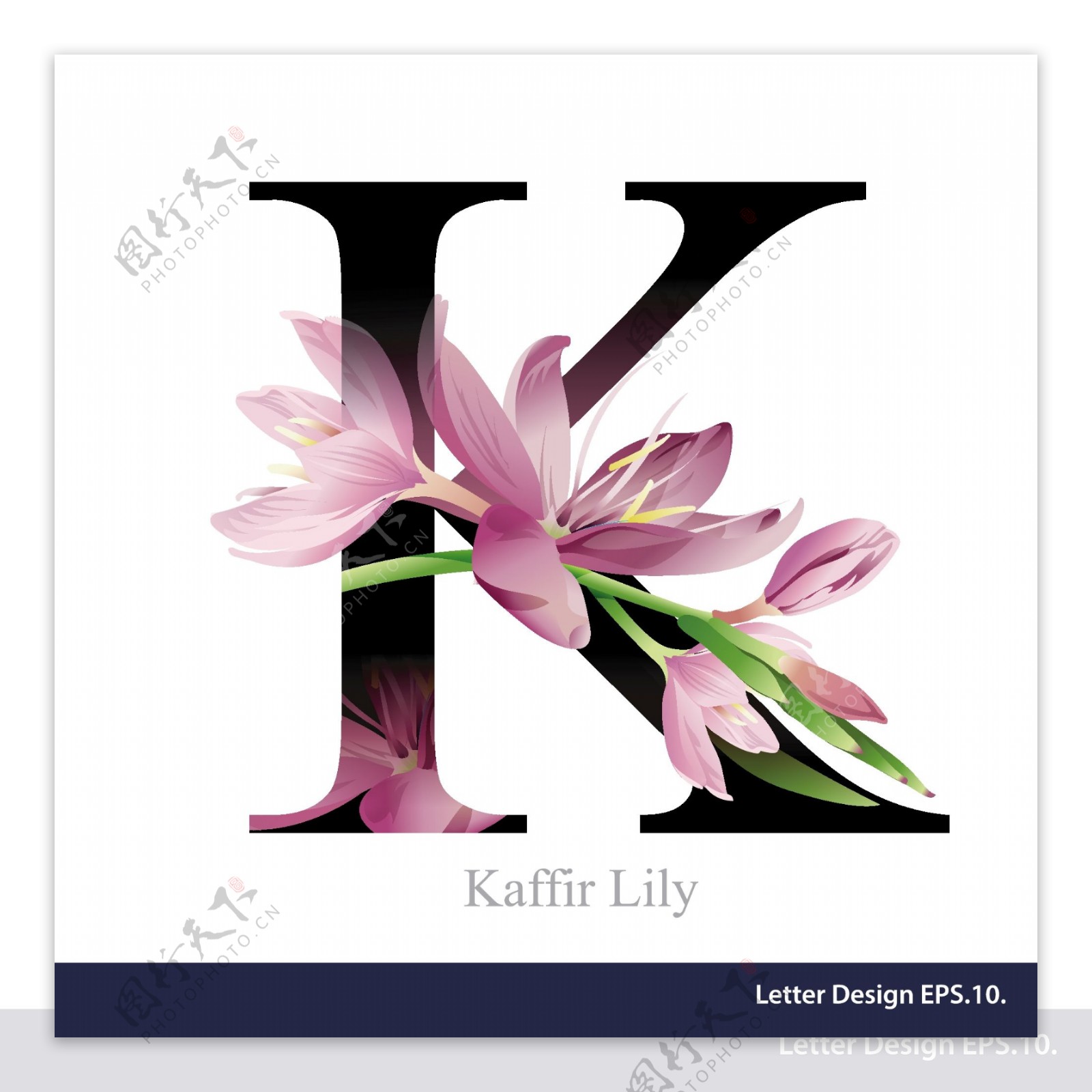 紫色热带花卉英文字母字体设计