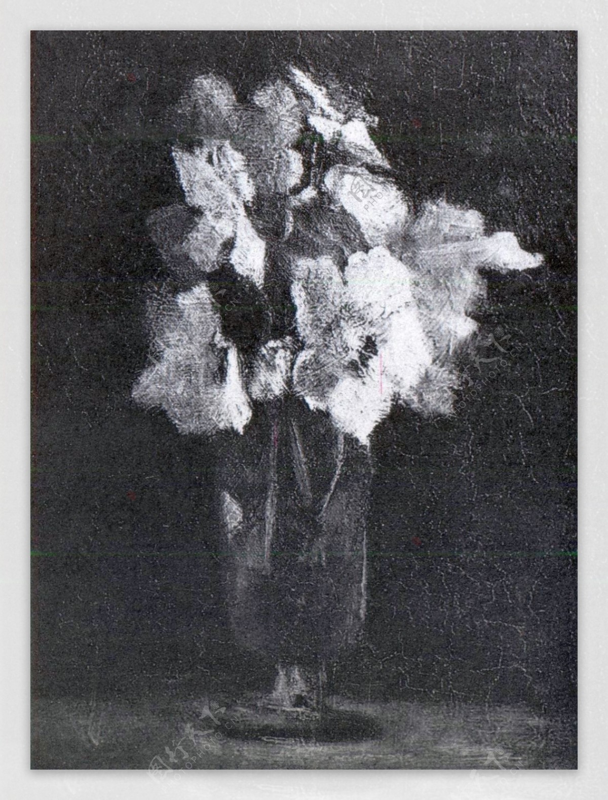 黑白花卉盆栽油画复古装饰画芯图片