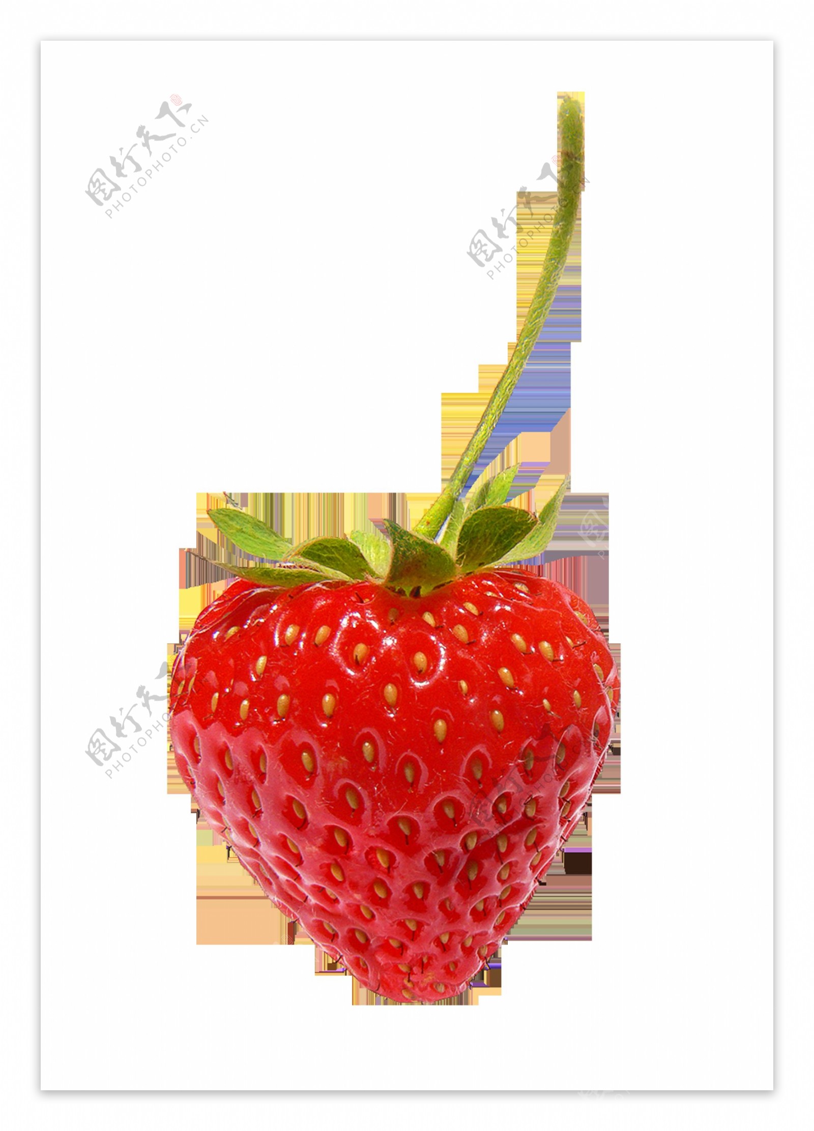 新鲜草莓透明水果素材