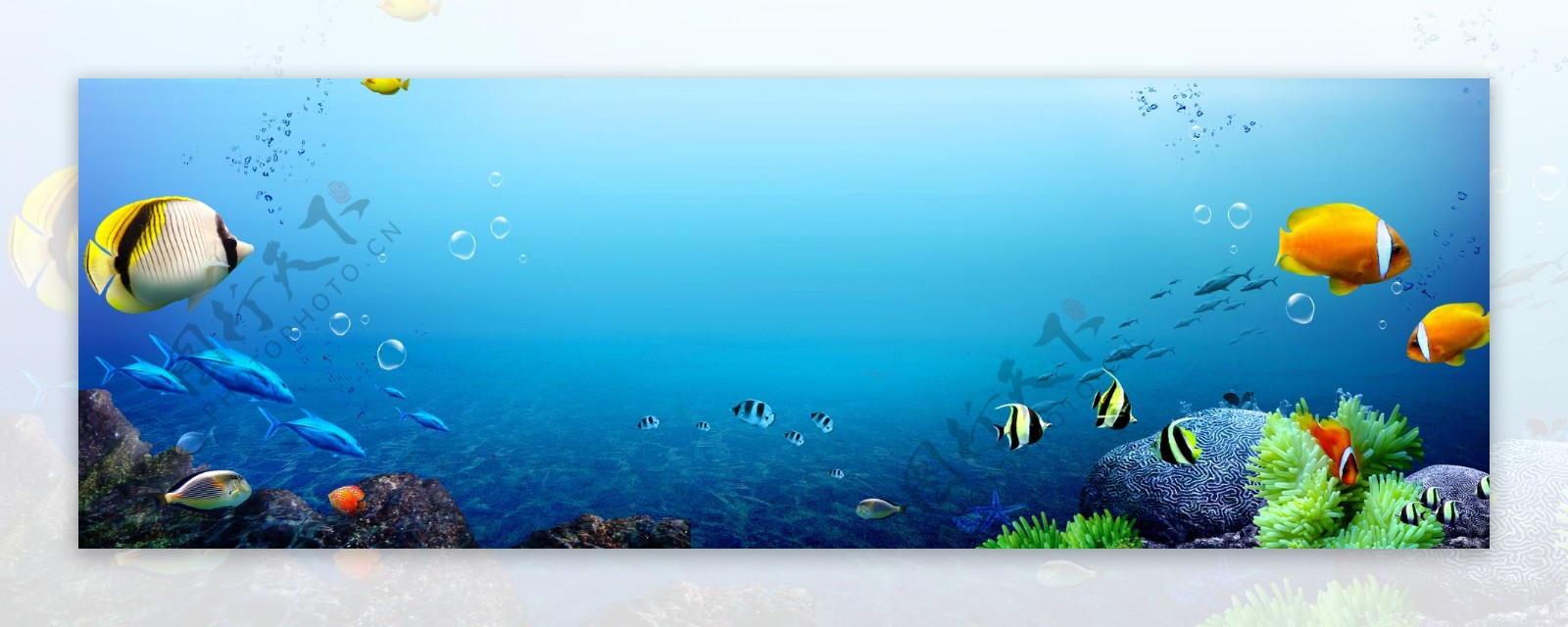 蓝色海底世界banner背景素材