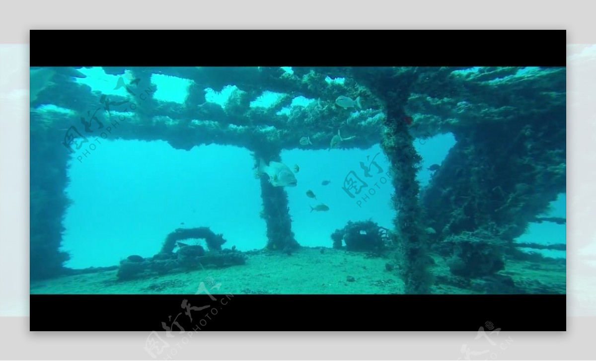 海底探险视频素材