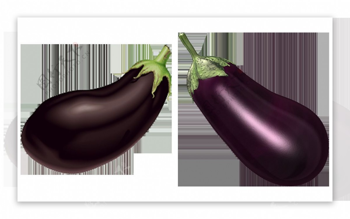 新鲜茄子图片免抠png透明图层素材