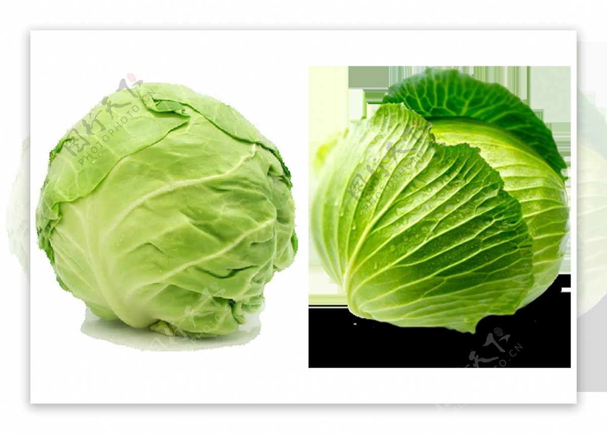 绿色包菜图片免抠png透明图层素材