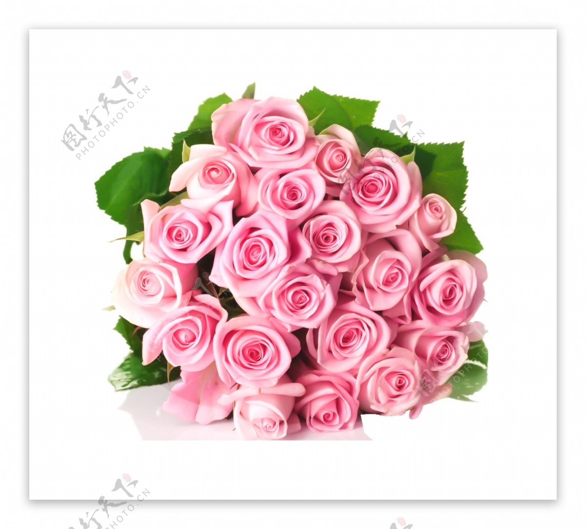 浪漫玫瑰花朵元素